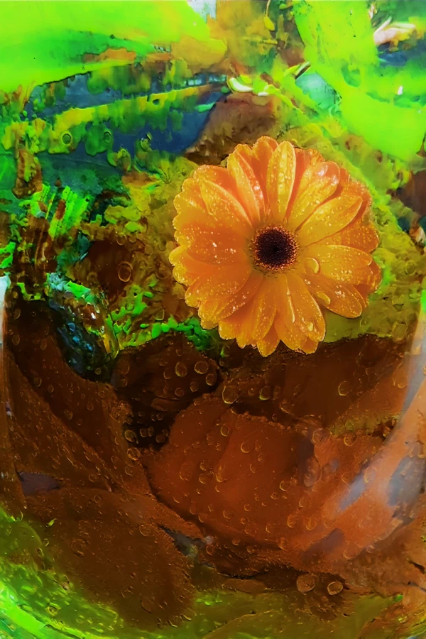 CIBERPETALUM