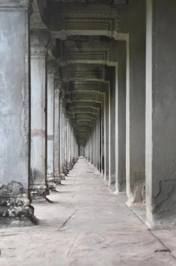 Perspectiva