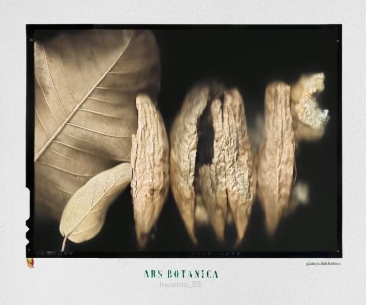 ArsBotanicaInvierno_03