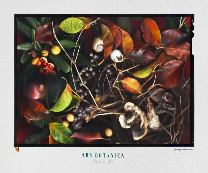 ArsBotanicaOtoño_30