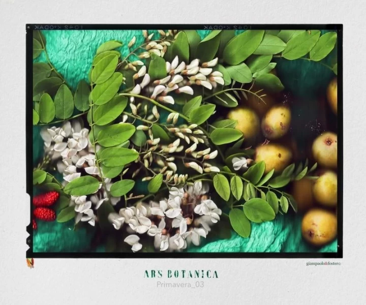 ArsBotanicaPrimavera_03