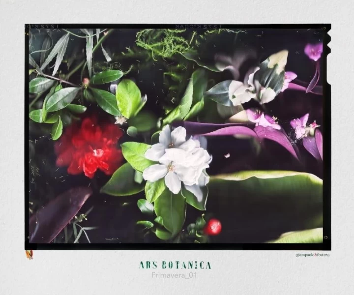 ArsBotanicaPrimavera01