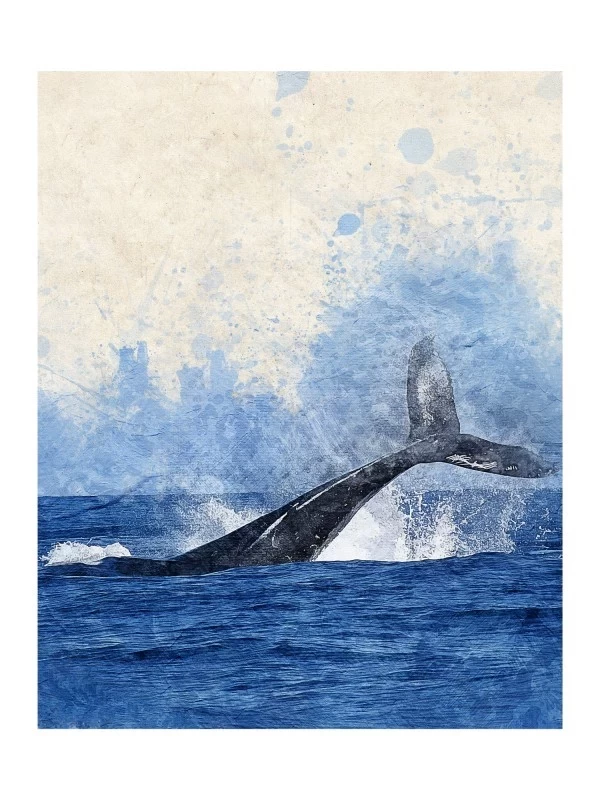 Cola de Ballena