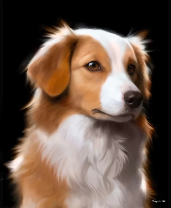 Sam The Dog