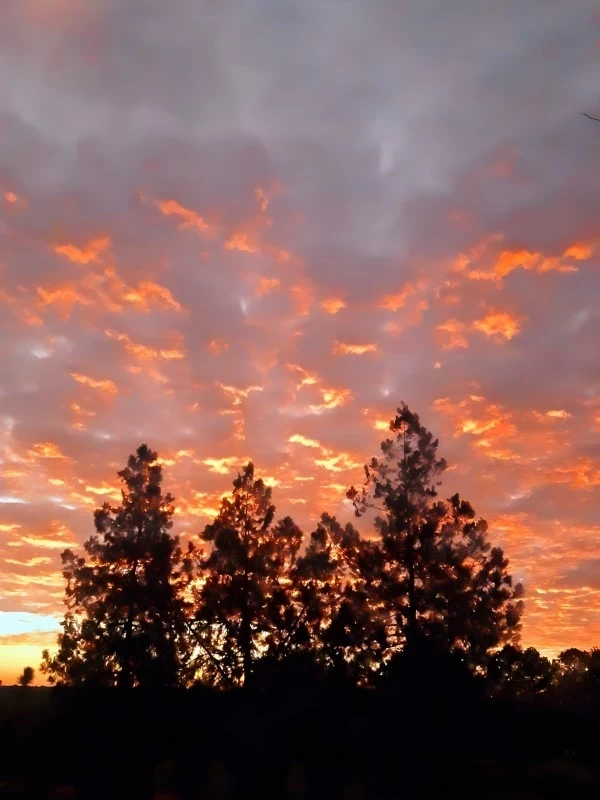 Fire Sky